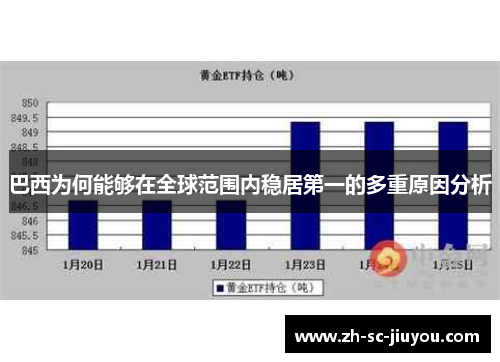 巴西为何能够在全球范围内稳居第一的多重原因分析