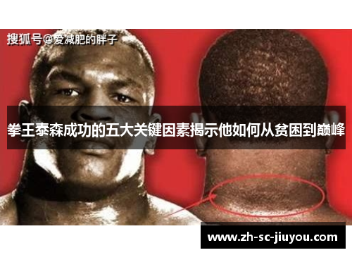 拳王泰森成功的五大关键因素揭示他如何从贫困到巅峰