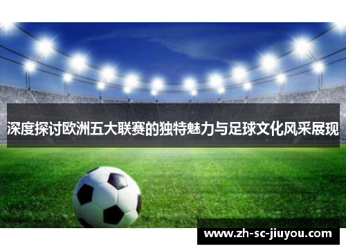 深度探讨欧洲五大联赛的独特魅力与足球文化风采展现