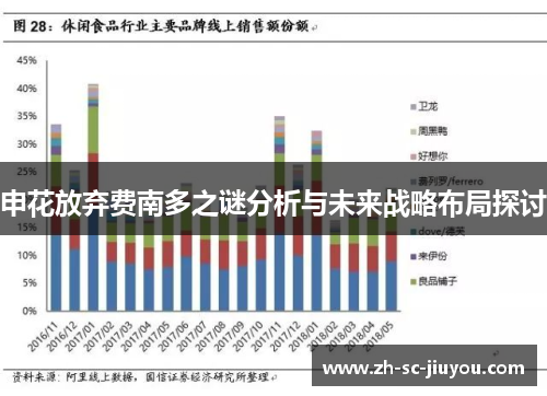 申花放弃费南多之谜分析与未来战略布局探讨