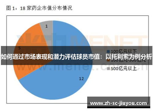 如何通过市场表现和潜力评估球员市值：以托利索为例分析